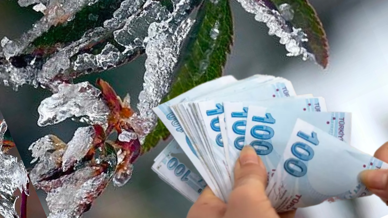 zirai don kayiplari icin odeme kosullari netlesti urunleri yuzde 20den fazla zarar goren ciftcilere destek verilecek JQf3udJJ