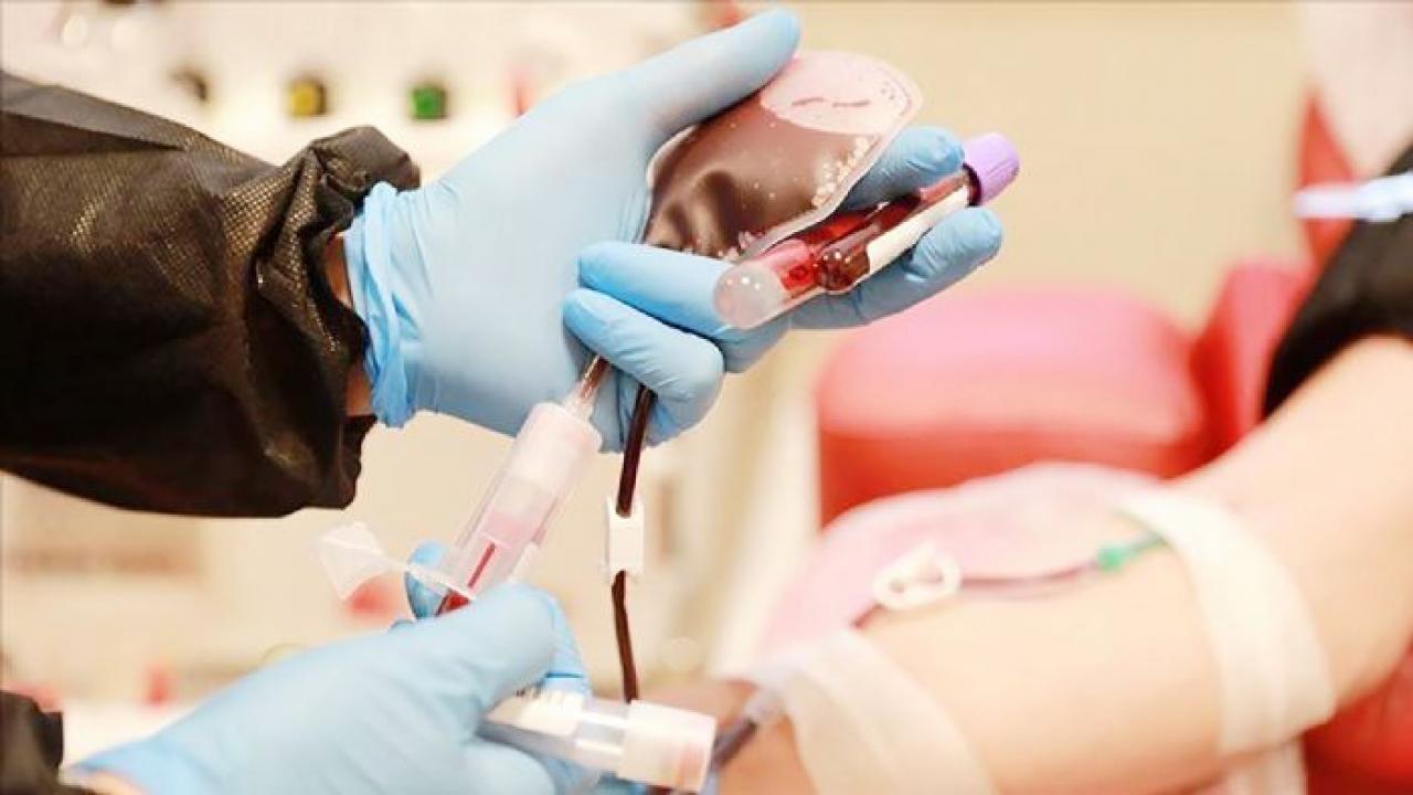 bir bagis bir hayat kok hucre bagisiyla hayat yeniden basliyor dEcVy6Oq.jpg