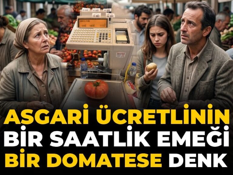 asgari-ucretlinin-bir-saatlik-emegi-bir-domatese-denk-LyxcPYbs